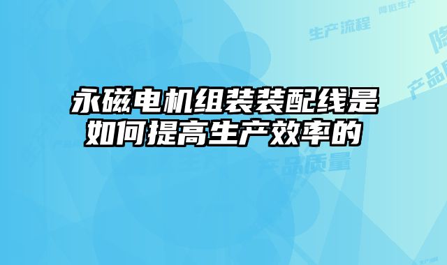 永磁電機組裝裝配線是如何提高生產效率的